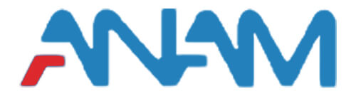 龍延亞南工業(yè)打造中英文響應式網(wǎng)站